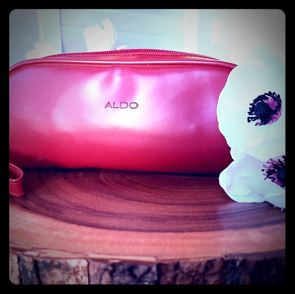 ALDO Makeup 💄 Bag